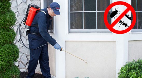 Bünyan Kene İlaçlama böcek ilaçlama ve haşere kontrolü — ilaclama-tr.com